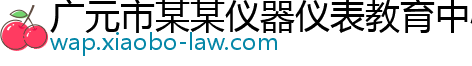 广元市某某仪器仪表教育中心